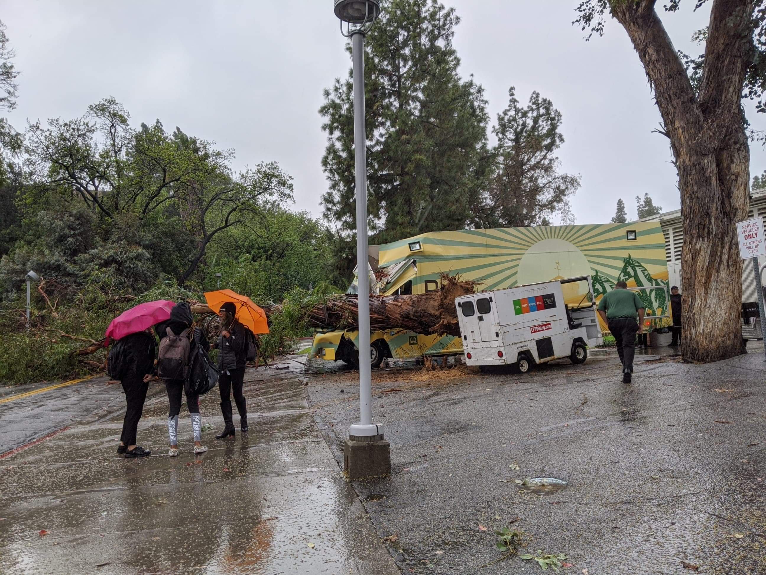 students with a crushed poly trolley in the background